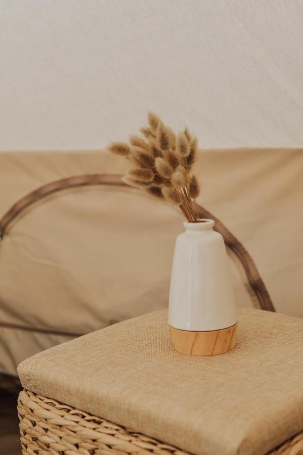 فندق Cocooning Tipi - سانيوس المظهر الخارجي الصورة
